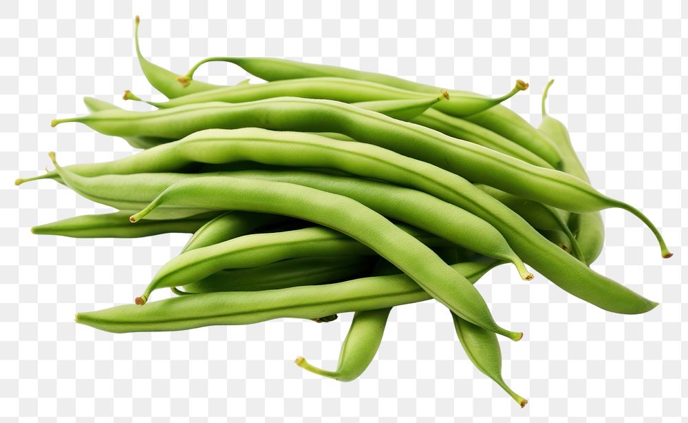 PNG Bean green bean vegetable produce.