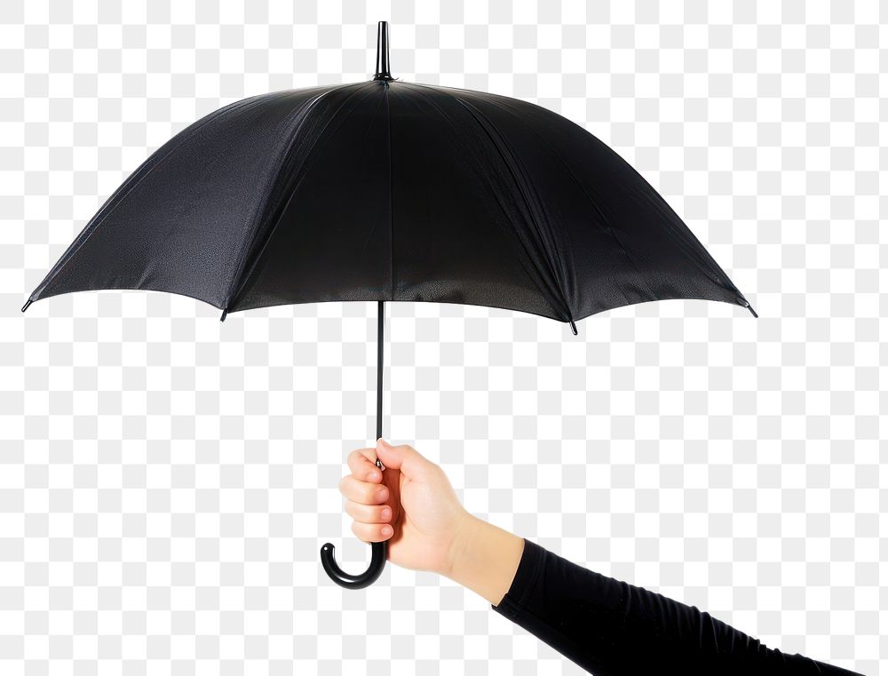 Hand holding black color umbrella white background protection sheltering.