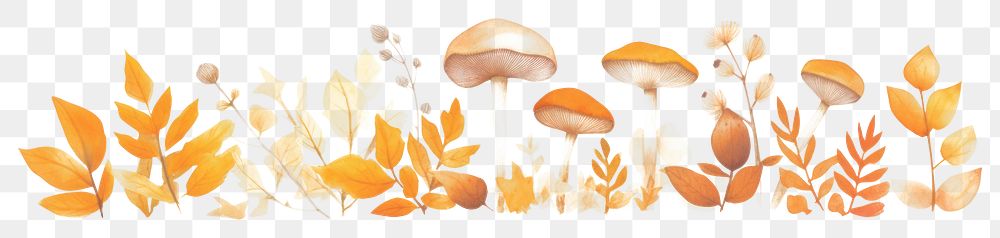 PNG Autumn as divider watercolor mushroom fungus agaric.