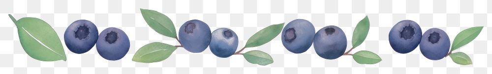 PNG Blueberries as divider watercolor blueberry produce fruit.