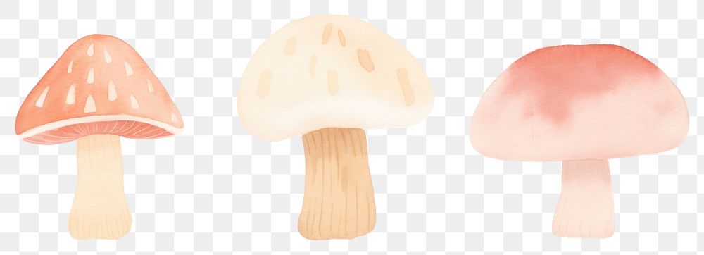 PNG Mushroom as divider watercolor amanita fungus agaric.