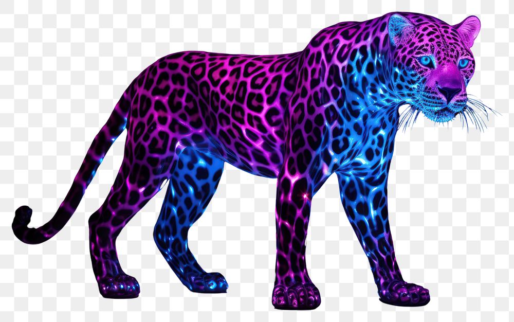 PNG Neon full body leopard wildlife mammal animal.