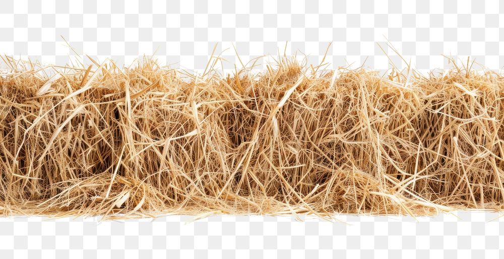 PNG Hay hay nature straw.