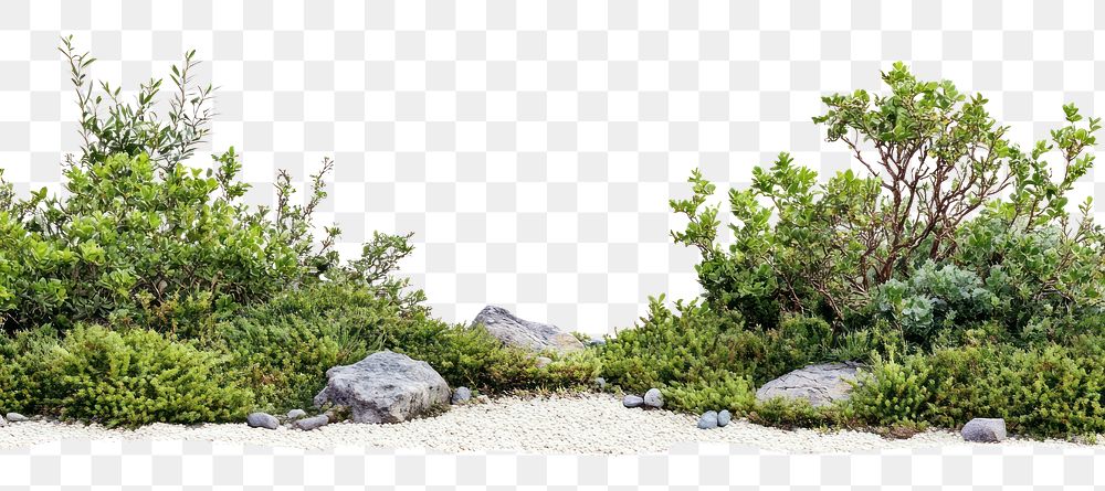 Real Manmade Landscape Border vegetation plant bush.