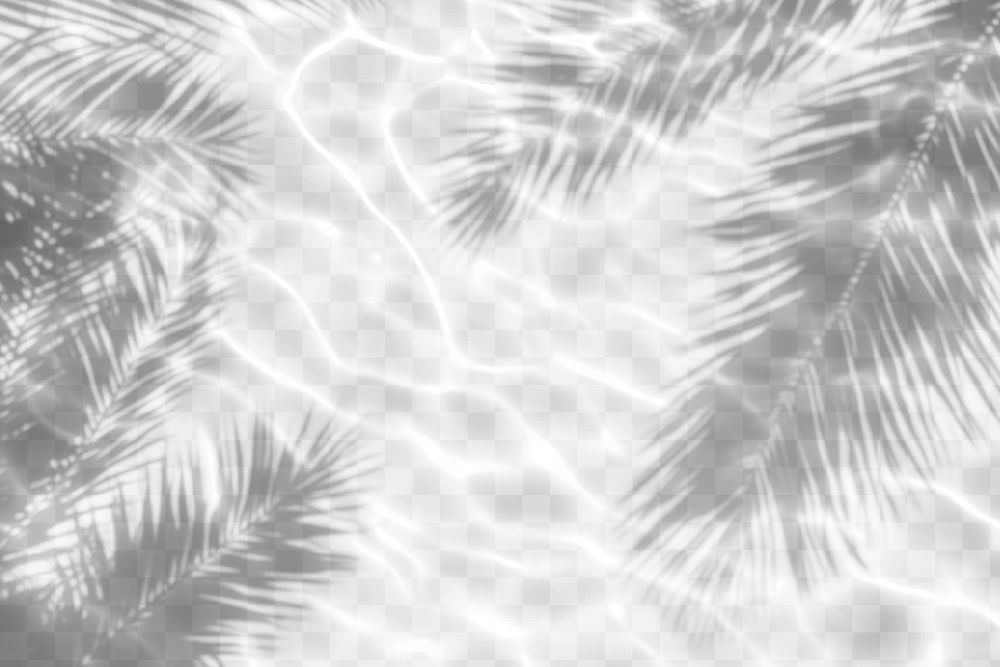 PNG Palm leaves shadow on water background pattern nature.