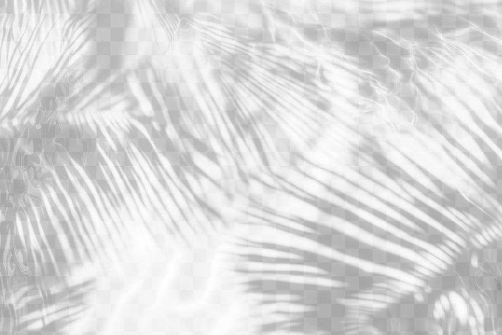 PNG Palm leaves shadow on water background abstract shadows.