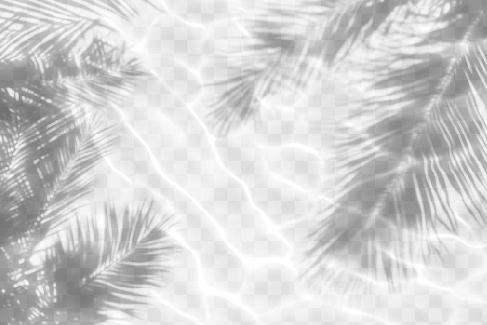 PNG Palm leaves shadow on water background nature destination.