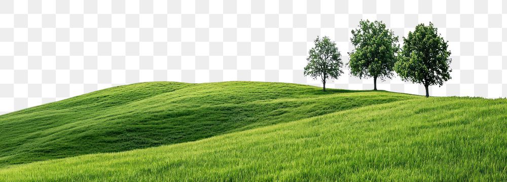 PNG Green hills with trees green landscape panoramic.