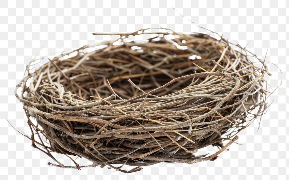 PNG Natural bird nest isolated white