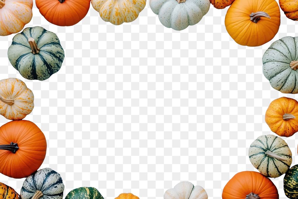 PNG Autumn pastel background with pumpkins and gourds on a blue table decoration halloween autumn.