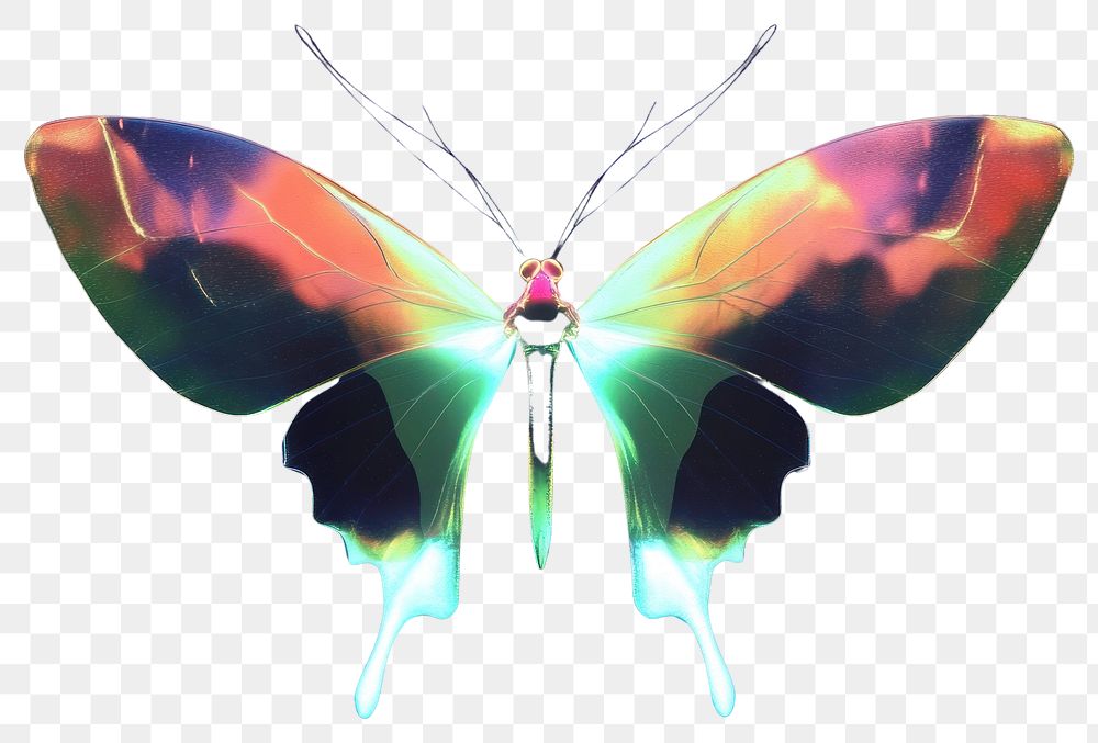 PNG Butterfly fantasy glow neon.