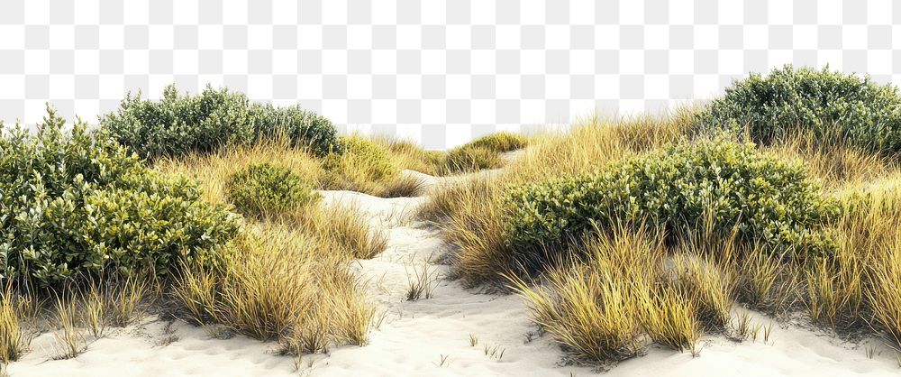 PNG Hilly dried grass fields vegetation landscape outdoors.