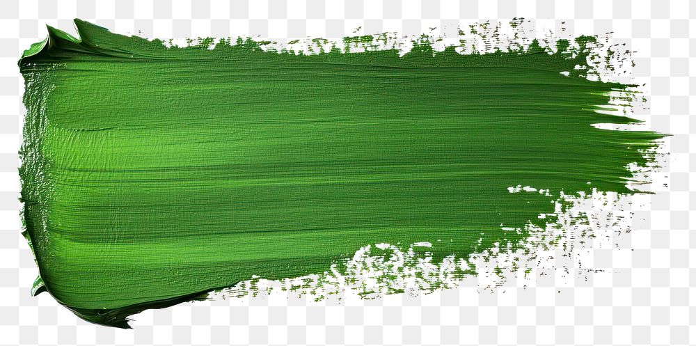 PNG Green flat paint brush stroke brushstroke vegetable abstract.