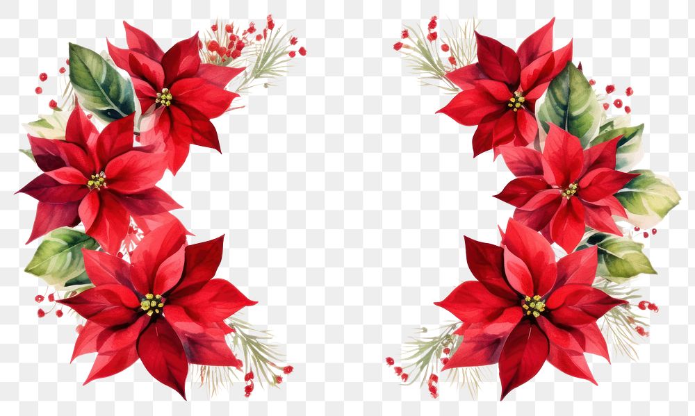 PNG  Christmas festive poinsettia frame christmas flower plant. 