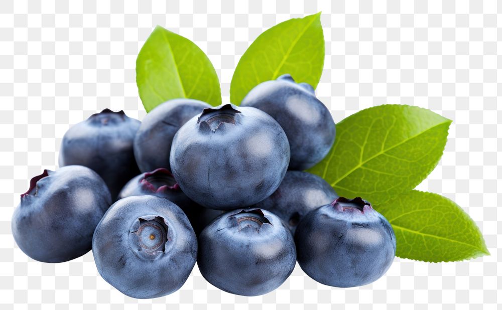 PNG Blueberry fruit plant food. 