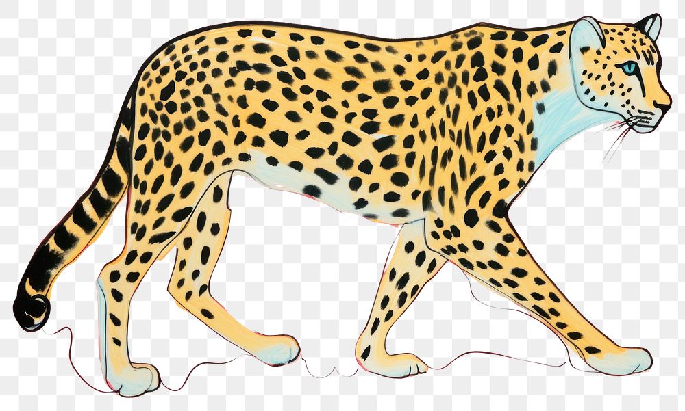 PNG A cheetah wildlife leopard cartoon.