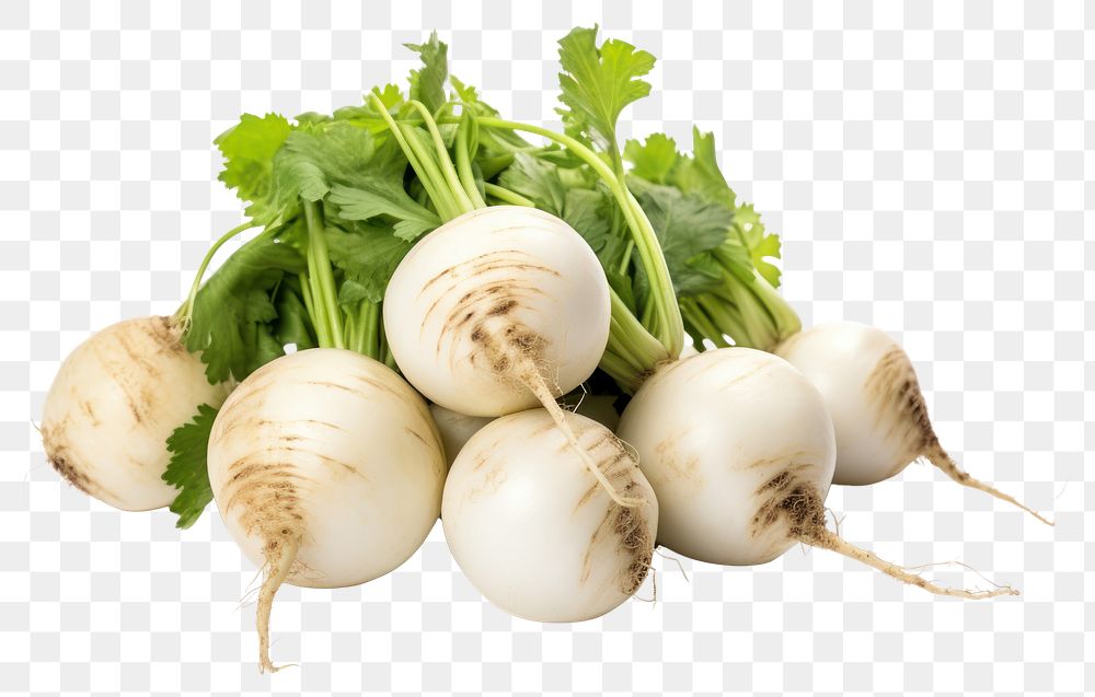 PNG Turnips vegetable plant food.