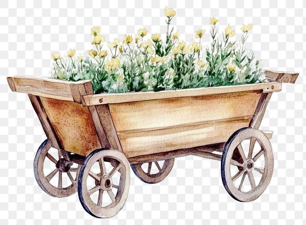 PNG Garden Cart illustration watercolor flowers.