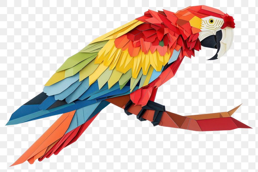 PNG Parrot animal bird white background.