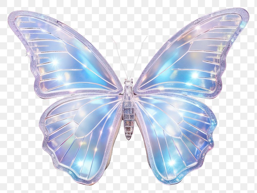 PNG Silvery holographic butterfly animal insect invertebrate. 