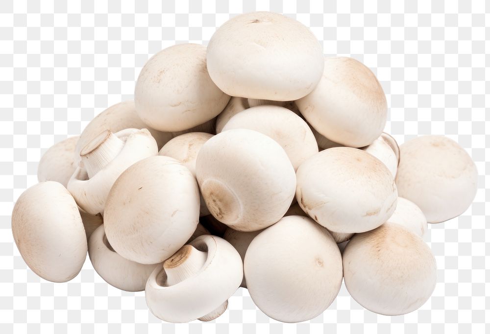 PNG Pile white mushrooms food pill egg.