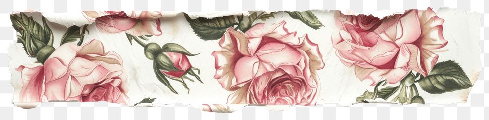 PNG Horizontal rose pattern paper strip tape flower plant art.