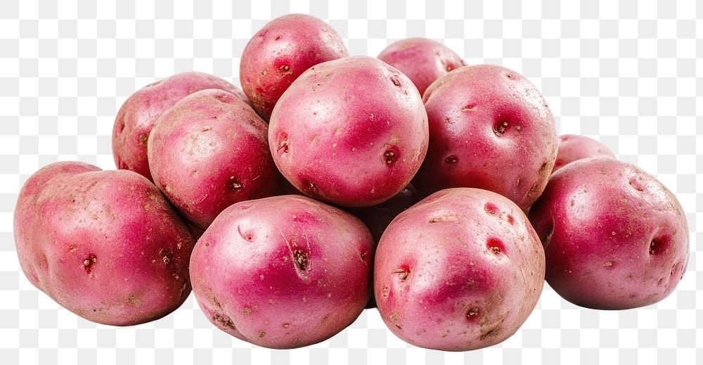 PNG Red bliss potatoes photography background vegetables.