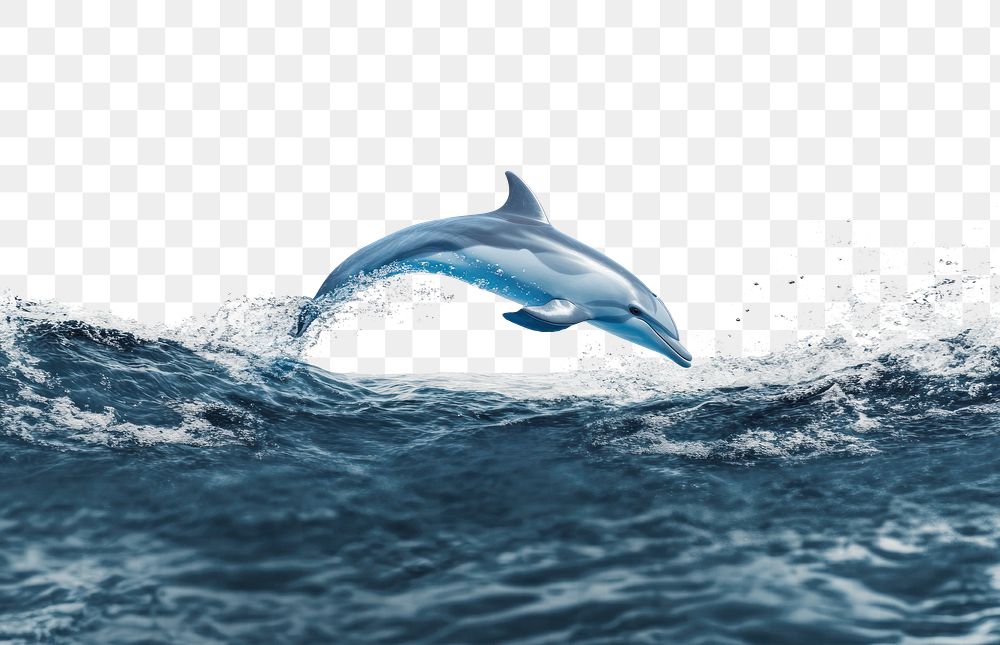 PNG Deep blue ocean with dolphin jumping animal mammal waves.