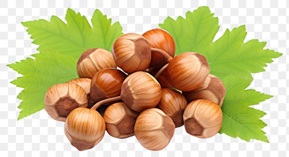 PNG Hazelnuts vegetable plant food.