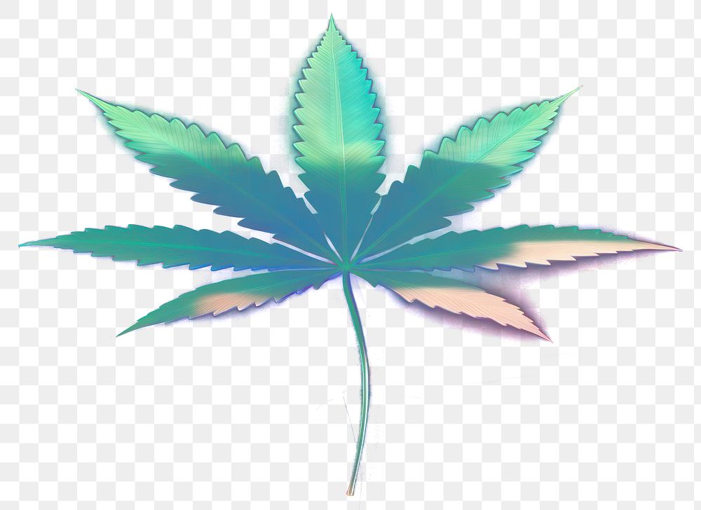 PNG Cannabis background plant black.