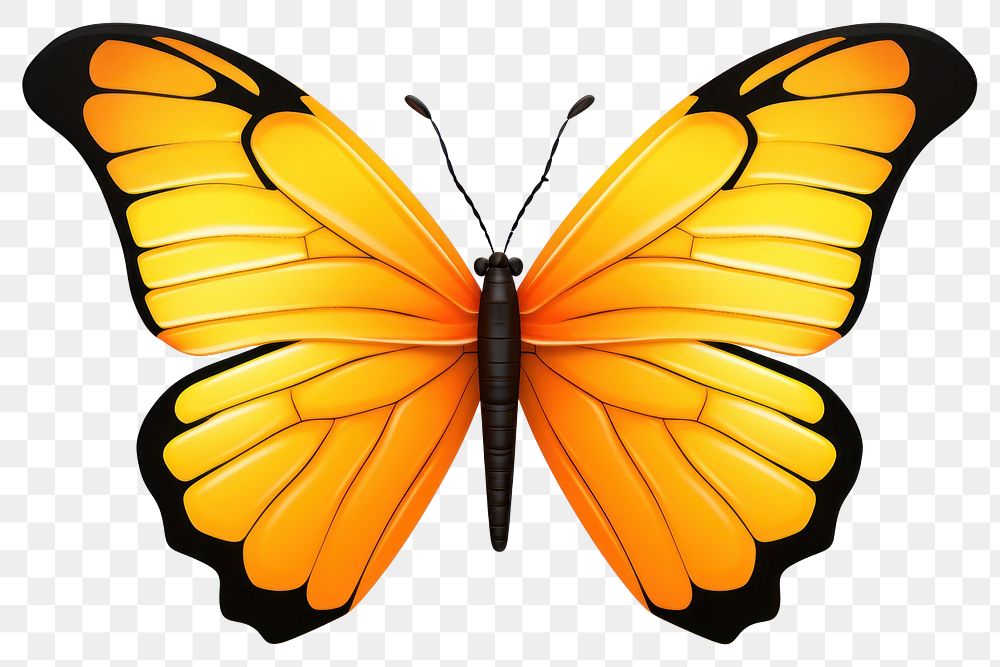 PNG Butterfly animal insect white background.