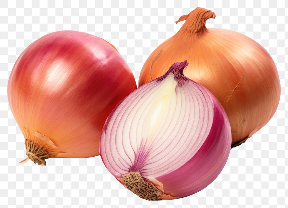 PNG Onions onion vegetable shallot. 