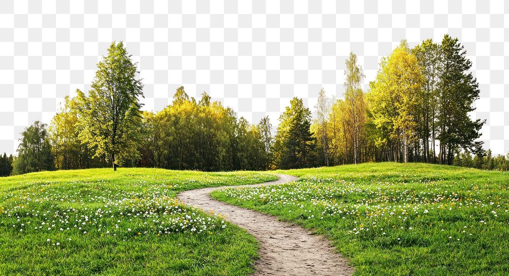 PNG Real park dirt path landscape outdoors scenery.