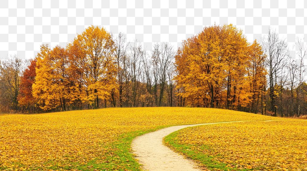 PNG Real park dirt path autumn landscape yellow.