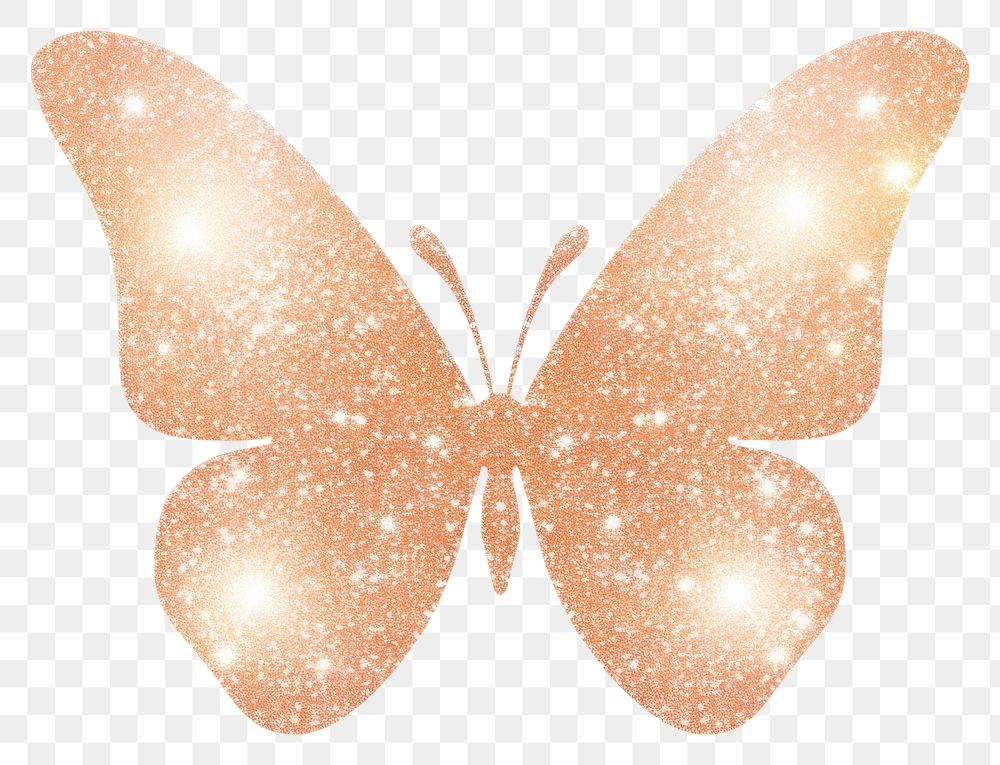 PNG Peach color butterfly icon nature white background illuminated.