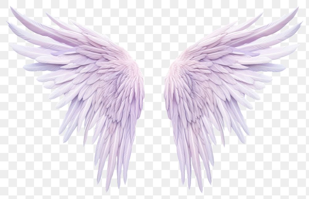 PNG Pastel purple feather angel wings white background fragility archangel. 