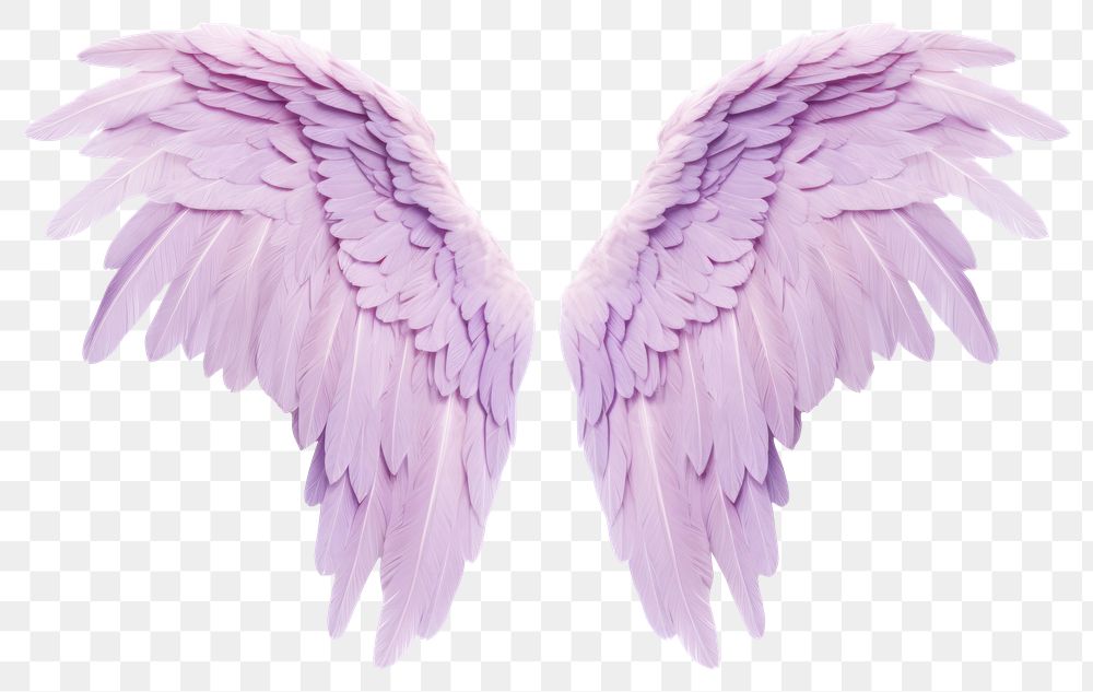 PNG Pastel purple feather angel wings bird white background archangel. 