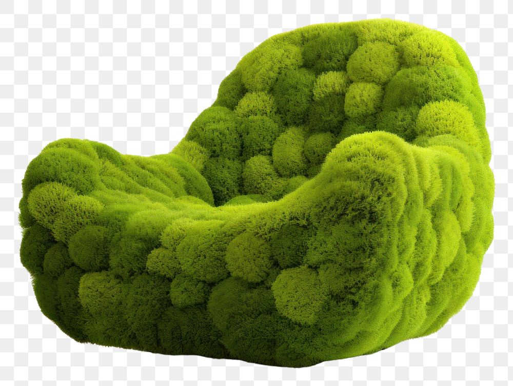 PNG Chair icon furniture plant moss.