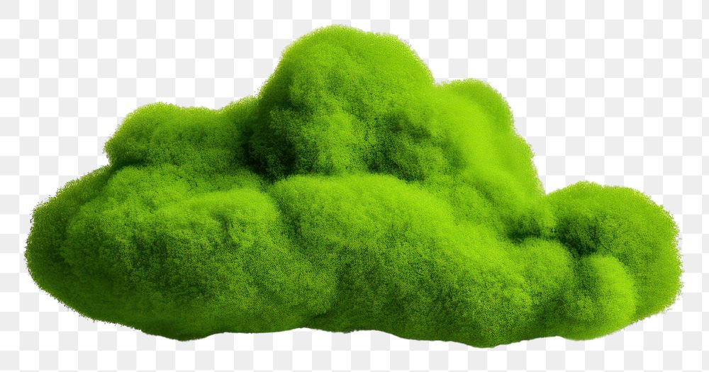 PNG  Cloud icon plant green moss