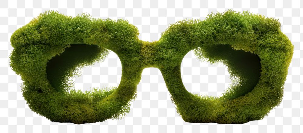 PNG Glasses plant moss white background.