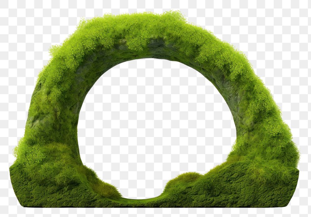 PNG Rounded arch icon moss plant shape.