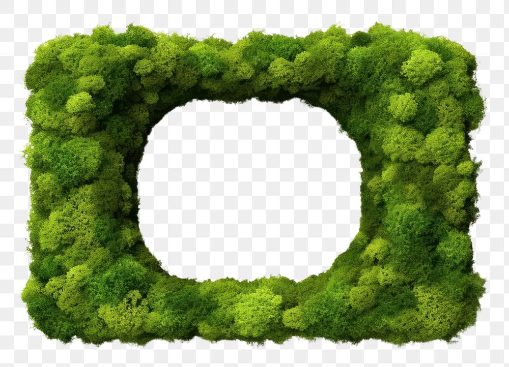 PNG Window icon wreath shape plant.