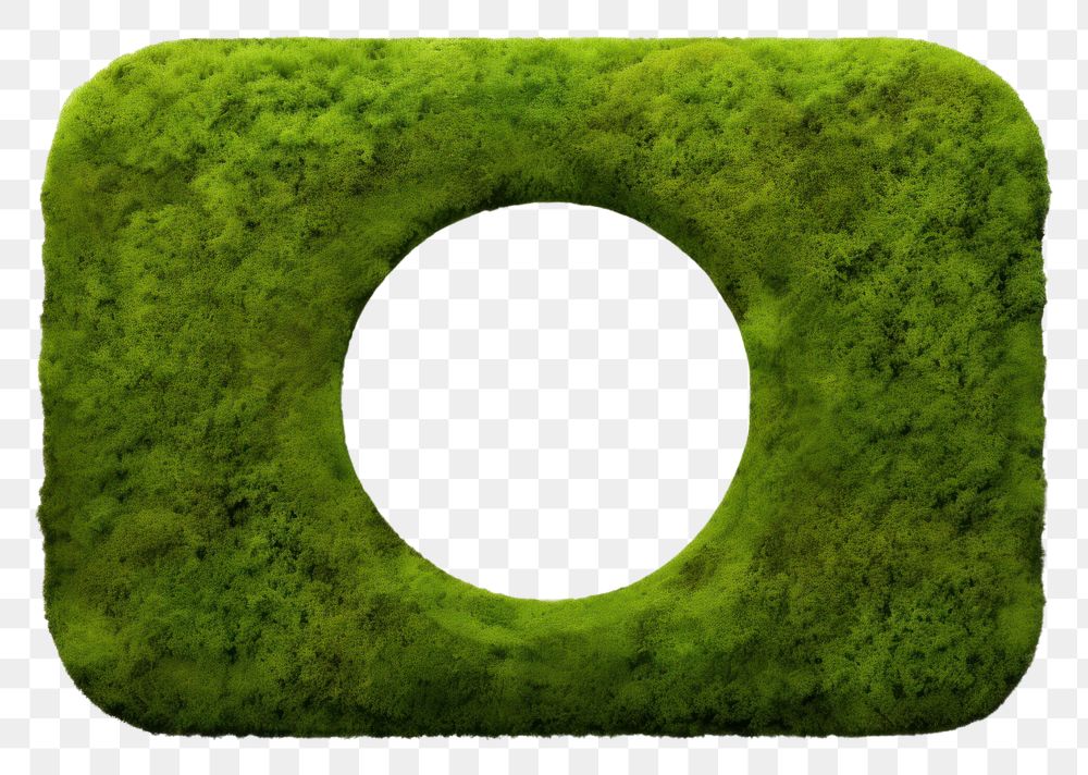 PNG Window icon shape plant green.