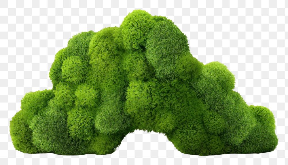 PNG Tree icon vegetable broccoli plant.