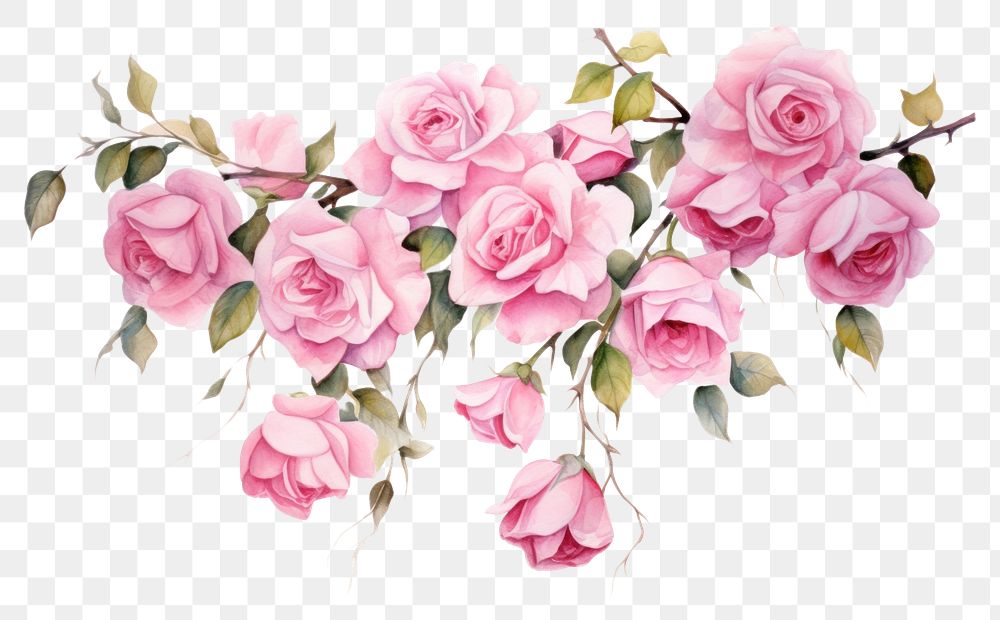 PNG Pink roses pattern flower nature.