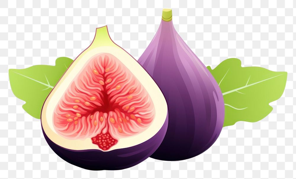 PNG  Fig fruit plant food. AI generated Image by rawpixel.