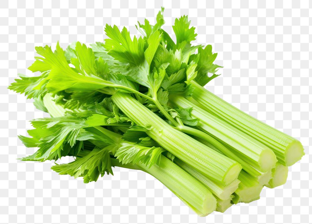 PNG  Fresh celery stick vegetable parsley plant.