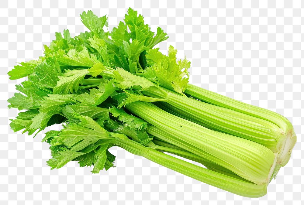 PNG  Fresh celery stick parsley plant herbs.