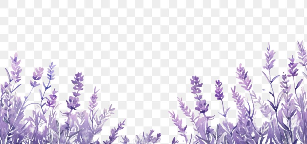 PNG  Lavender themed wallpaper lavender backgrounds outdoors.