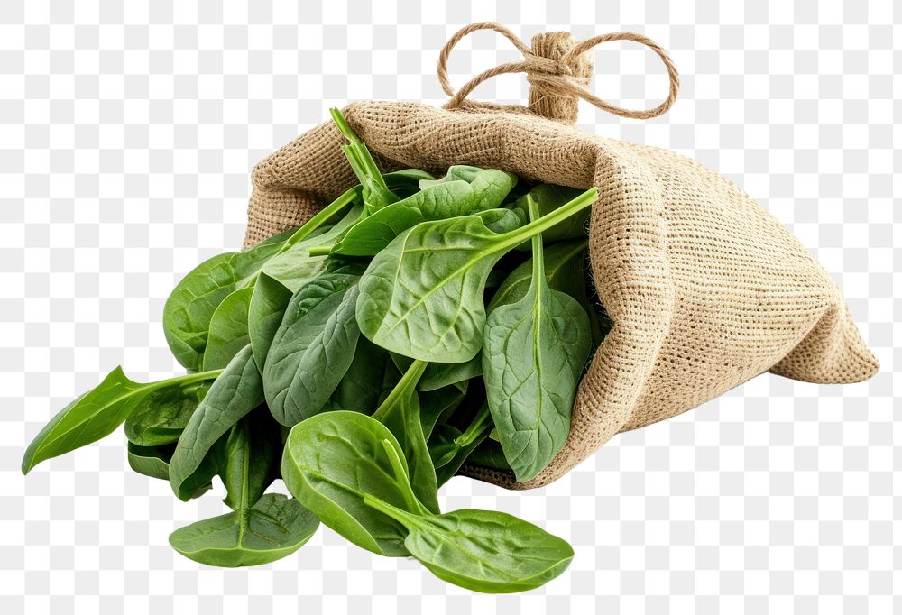 PNG Spinach leaves in a bag vegetable plant food.